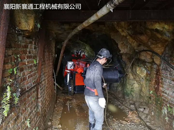 管家婆四不象必中一肖