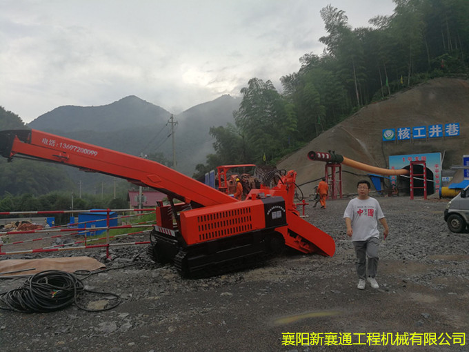 管家婆四不象必中一肖