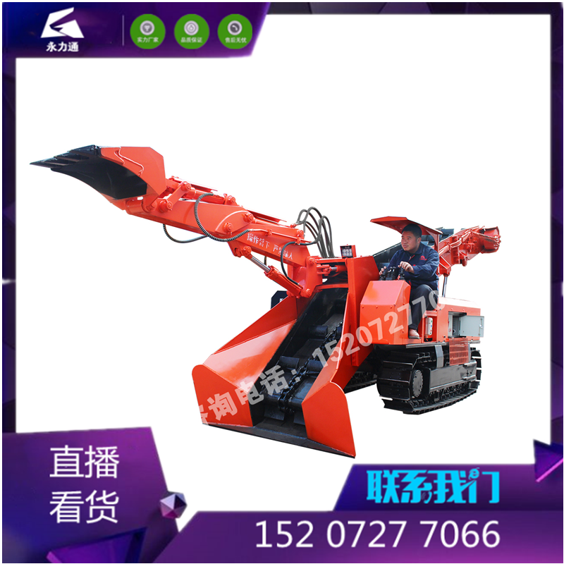 管家婆四不象必中一肖