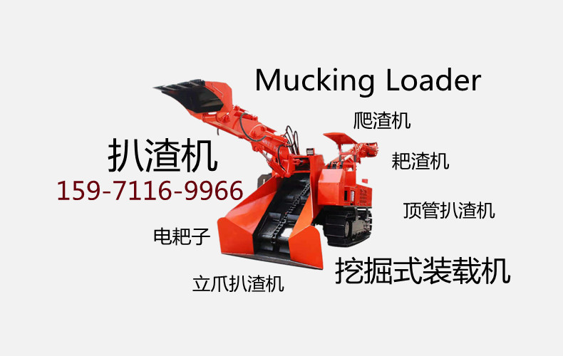 管家婆四不象必中一肖